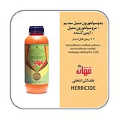 آتلانتیس (مهانتیس تولیدی )