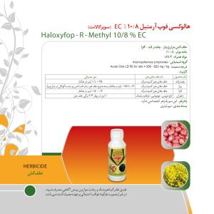 کاتالوگ