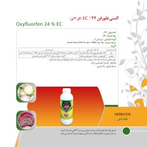 کاتالوگ