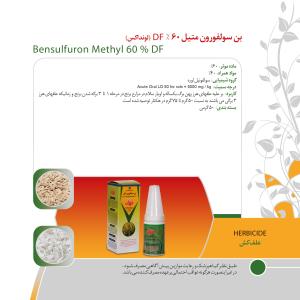کاتالوگ