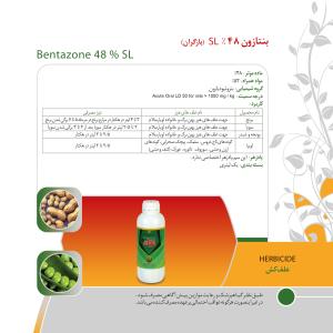 کاتالوگ