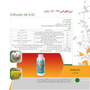 کاتالوگ