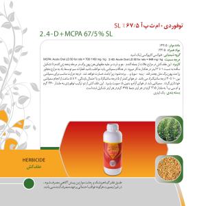 کاتالوگ