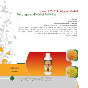 کاتالوگ