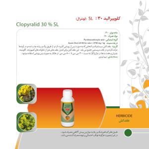 کاتالوگ