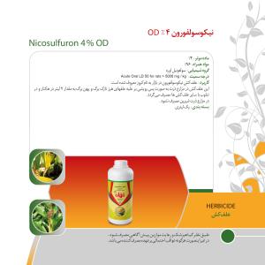 کاتالوگ