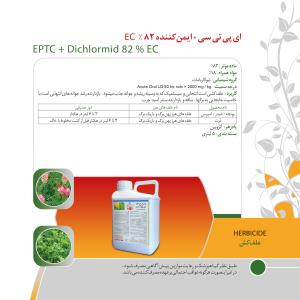 کاتالوگ