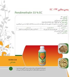 کاتالوگ