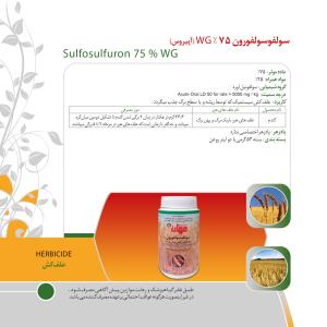 کاتالوگ