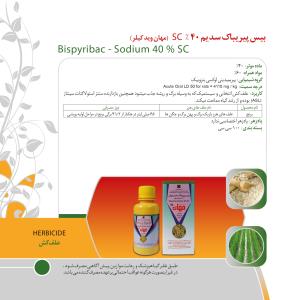 کاتالوگ