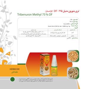 کاتالوگ