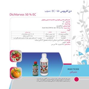 کاتالوگ
