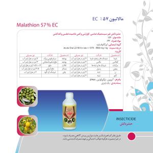 کاتالوگ