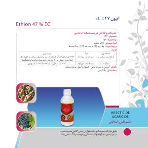 کاتالوگ
