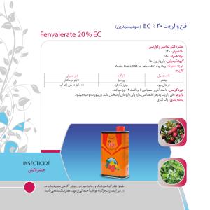کاتالوگ