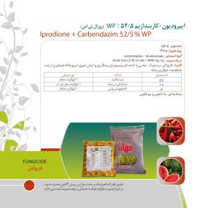 کاتالوگ