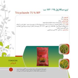کاتالوگ