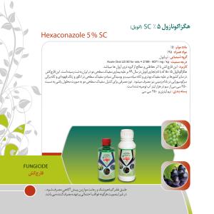 کاتالوگ