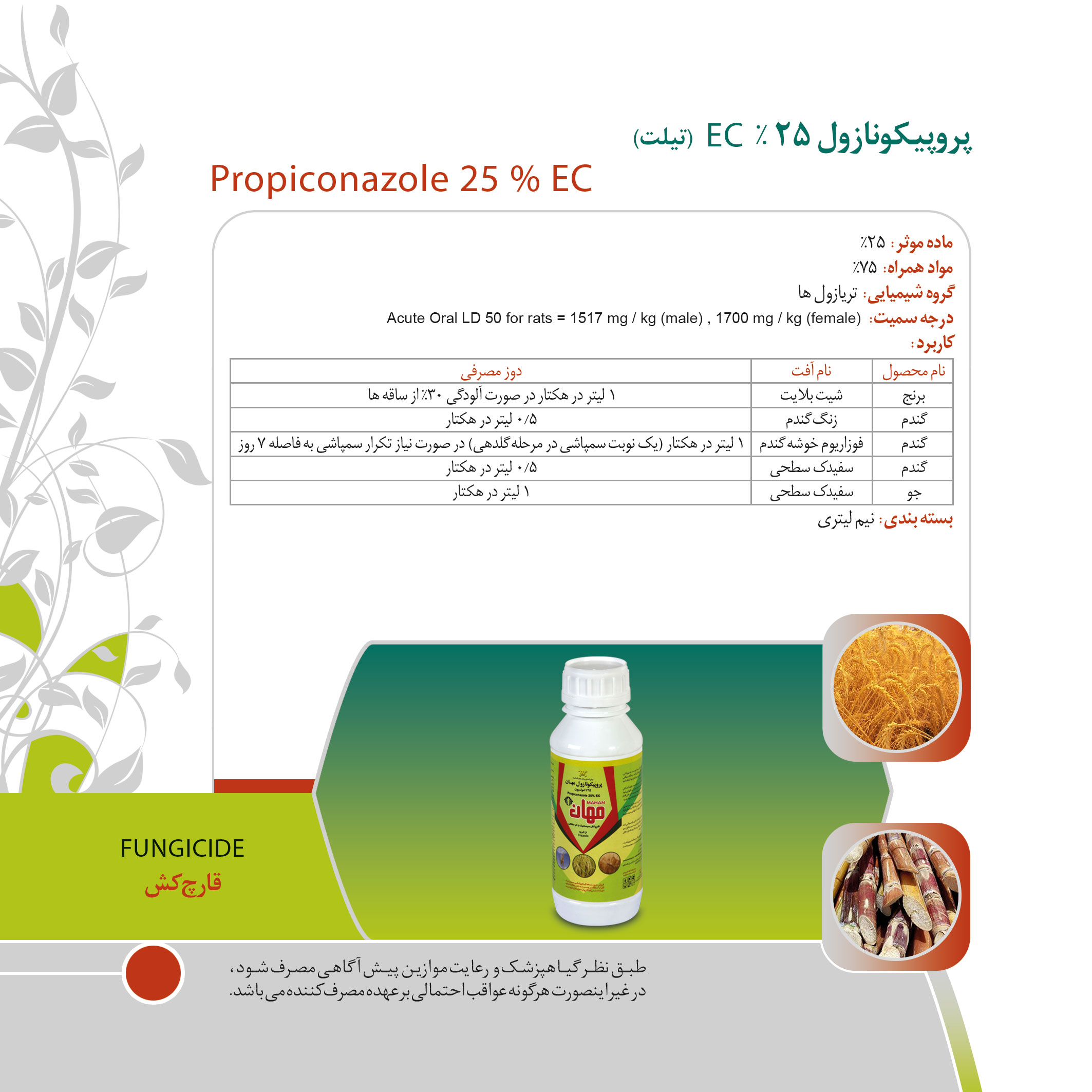 کاتالوگ