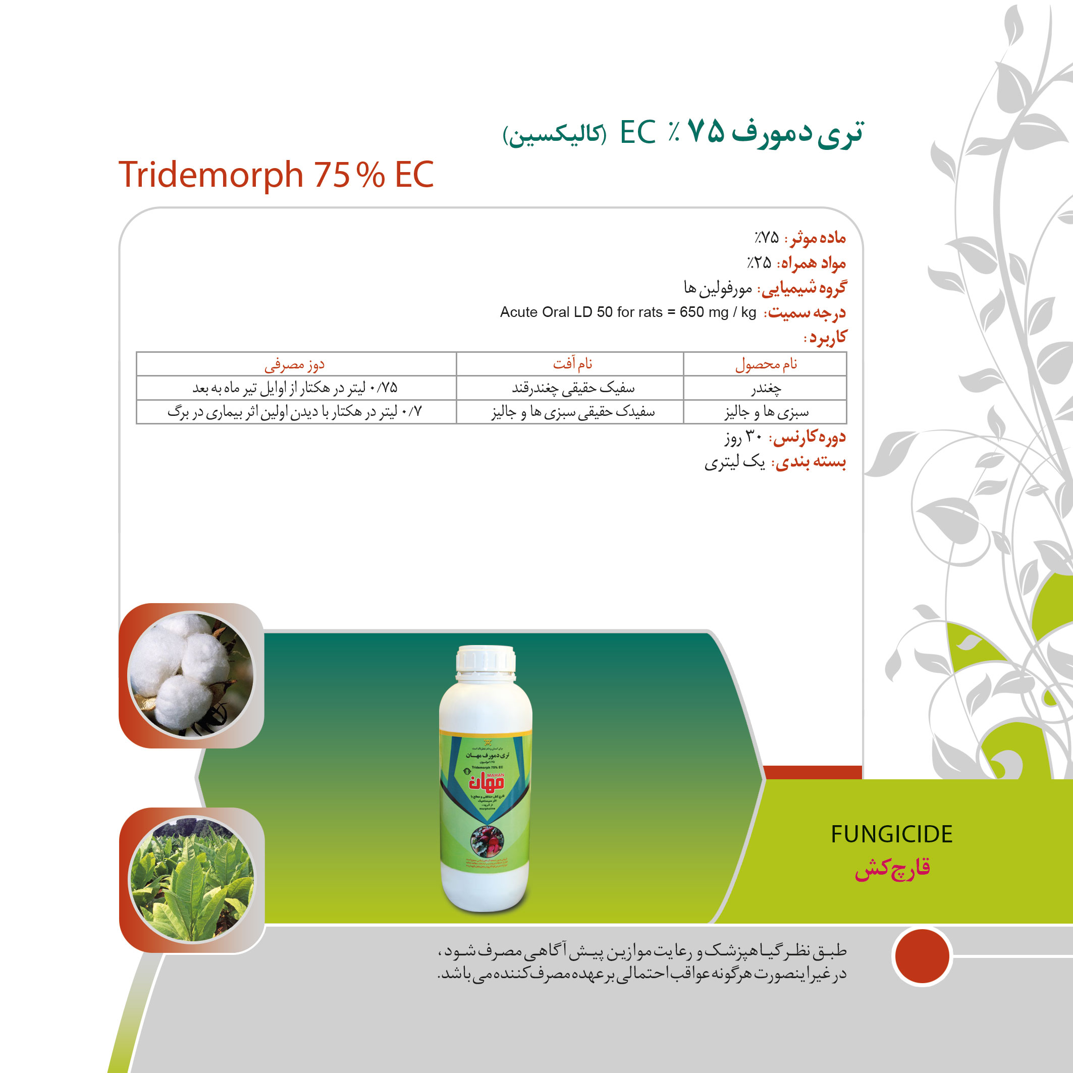 کاتالوگ