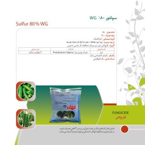 کاتالوگ