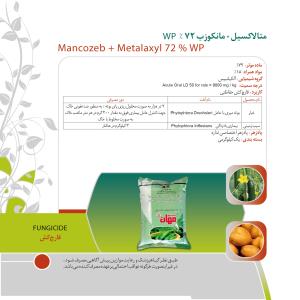 کاتالوگ