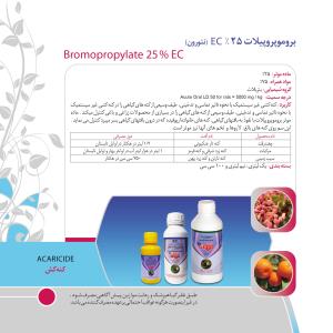 کاتالوگ