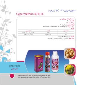 کاتالوگ