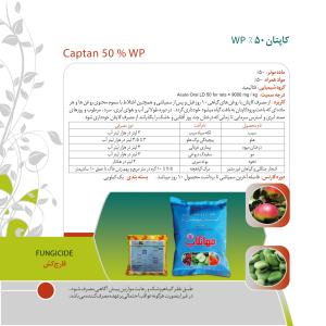 کاتالوگ