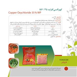 کاتالوگ