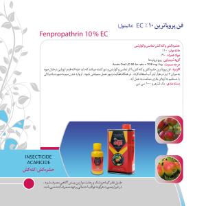 کاتالوگ