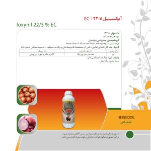 کاتالوگ